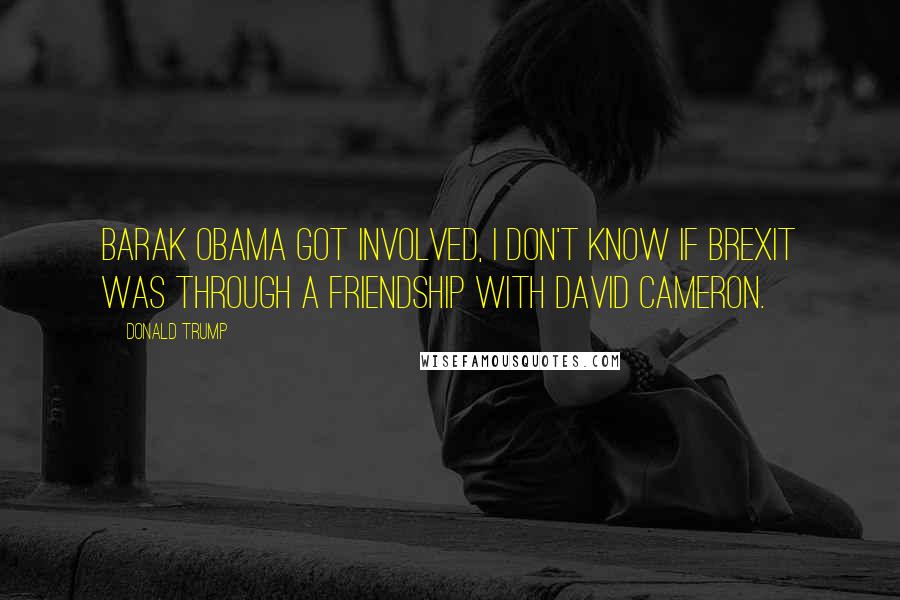 Donald Trump Quotes: Barak Obama got involved, I don't know if Brexit was through a friendship with David Cameron.