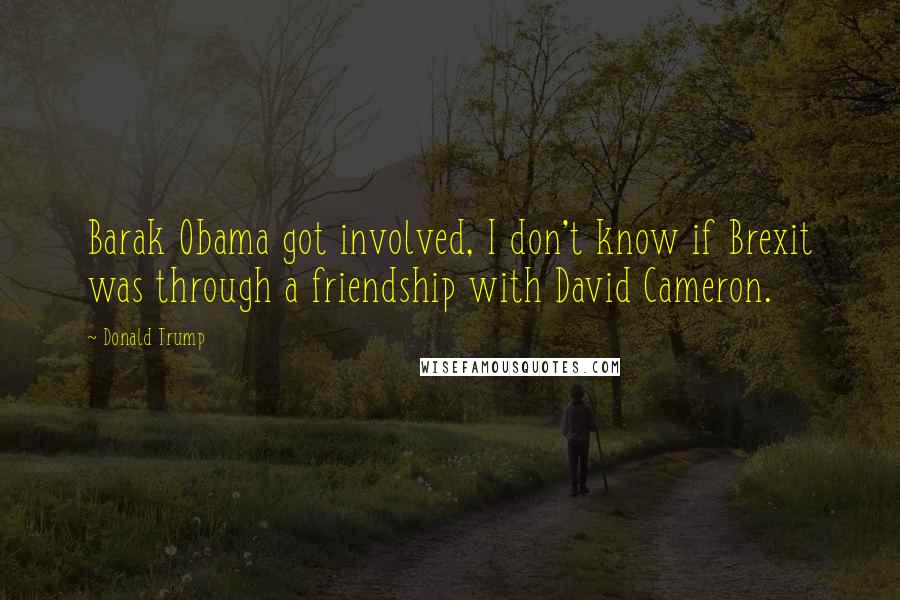 Donald Trump Quotes: Barak Obama got involved, I don't know if Brexit was through a friendship with David Cameron.