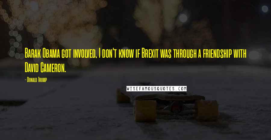 Donald Trump Quotes: Barak Obama got involved, I don't know if Brexit was through a friendship with David Cameron.
