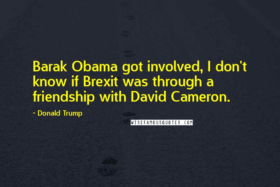 Donald Trump Quotes: Barak Obama got involved, I don't know if Brexit was through a friendship with David Cameron.