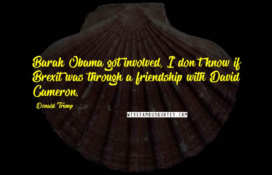 Donald Trump Quotes: Barak Obama got involved, I don't know if Brexit was through a friendship with David Cameron.