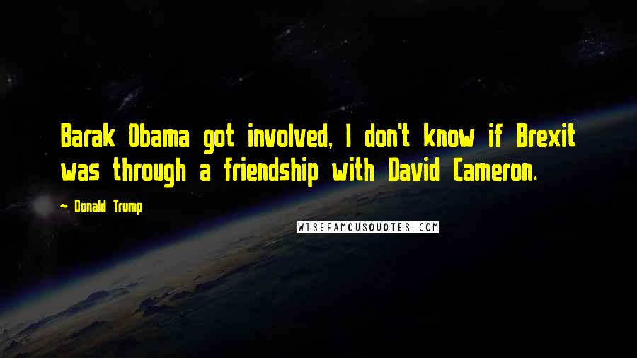 Donald Trump Quotes: Barak Obama got involved, I don't know if Brexit was through a friendship with David Cameron.