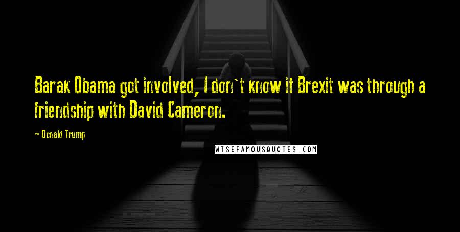 Donald Trump Quotes: Barak Obama got involved, I don't know if Brexit was through a friendship with David Cameron.