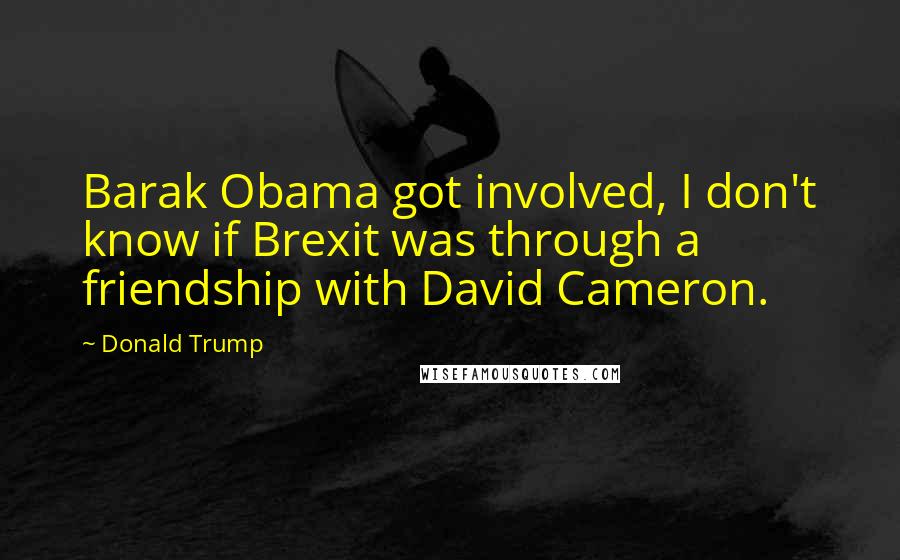 Donald Trump Quotes: Barak Obama got involved, I don't know if Brexit was through a friendship with David Cameron.