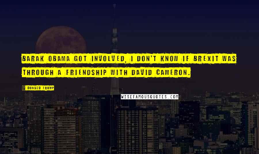 Donald Trump Quotes: Barak Obama got involved, I don't know if Brexit was through a friendship with David Cameron.