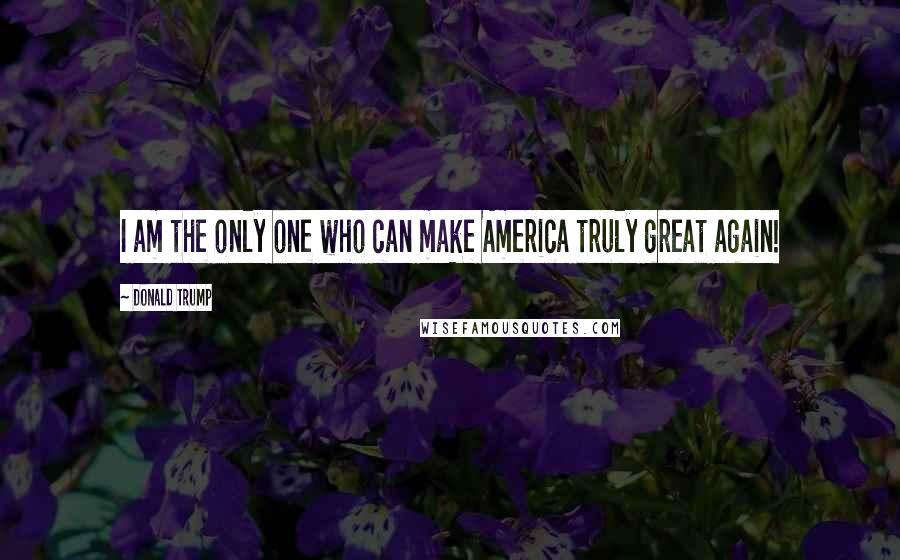 Donald Trump Quotes: I am the only one who can make America truly great again!