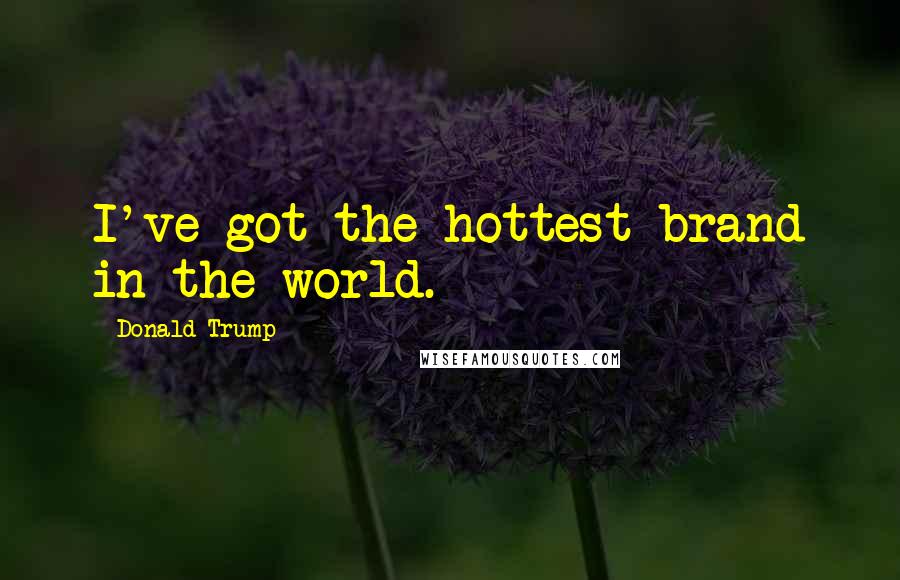 Donald Trump Quotes: I've got the hottest brand in the world.
