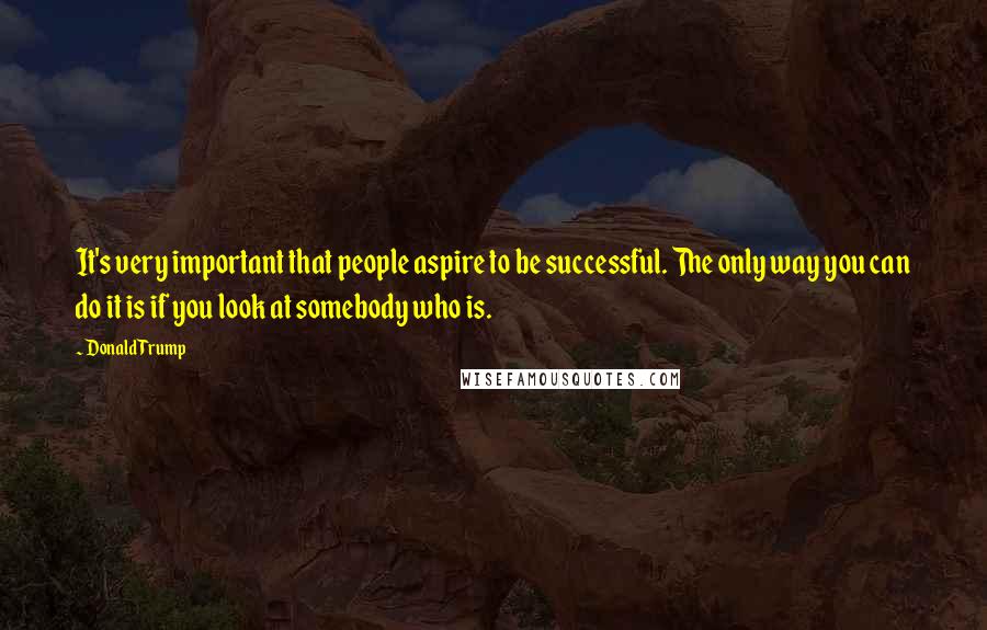 Donald Trump Quotes: It's very important that people aspire to be successful. The only way you can do it is if you look at somebody who is.
