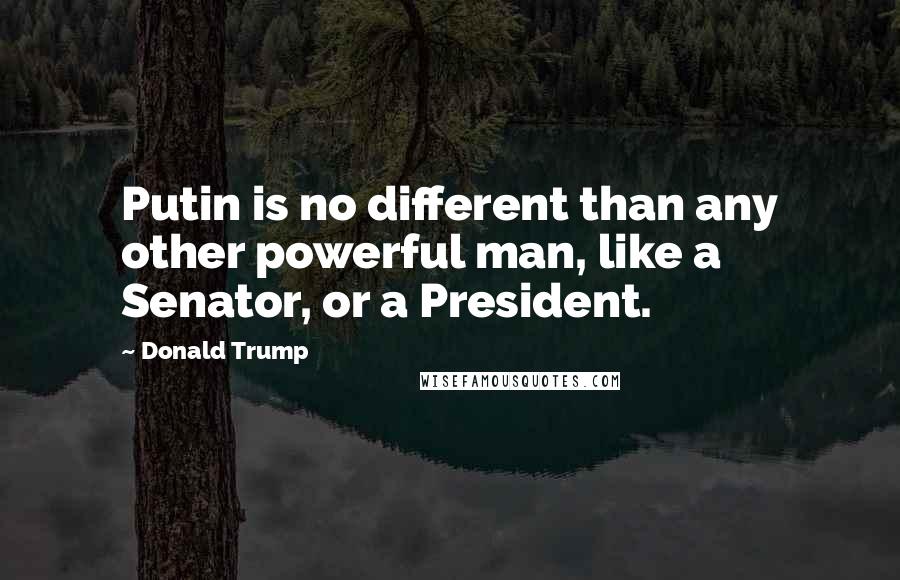Donald Trump Quotes: Putin is no different than any other powerful man, like a Senator, or a President.
