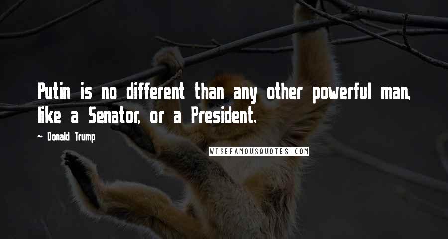 Donald Trump Quotes: Putin is no different than any other powerful man, like a Senator, or a President.