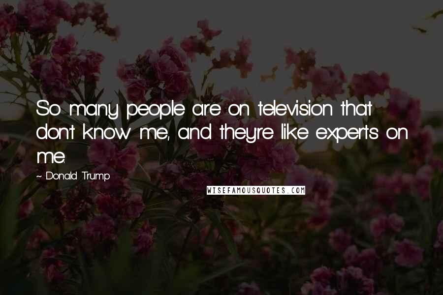 Donald Trump Quotes: So many people are on television that don't know me, and they're like experts on me.