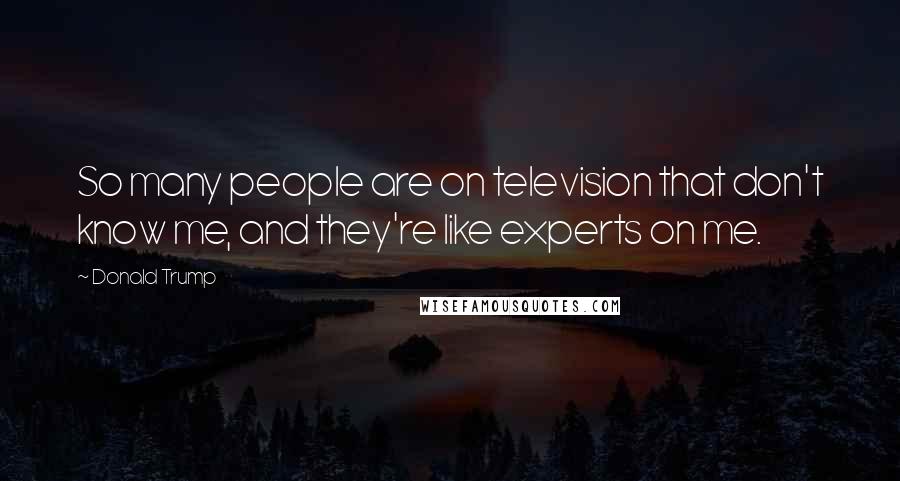 Donald Trump Quotes: So many people are on television that don't know me, and they're like experts on me.