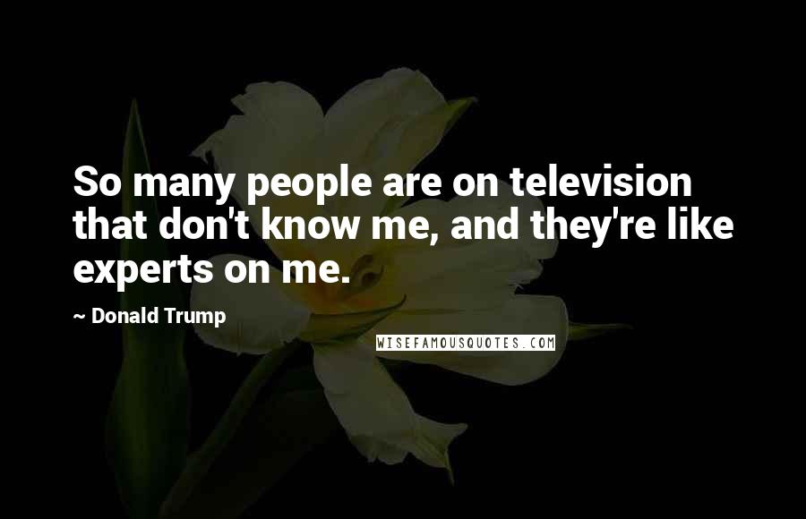 Donald Trump Quotes: So many people are on television that don't know me, and they're like experts on me.