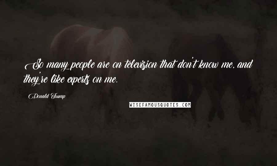 Donald Trump Quotes: So many people are on television that don't know me, and they're like experts on me.