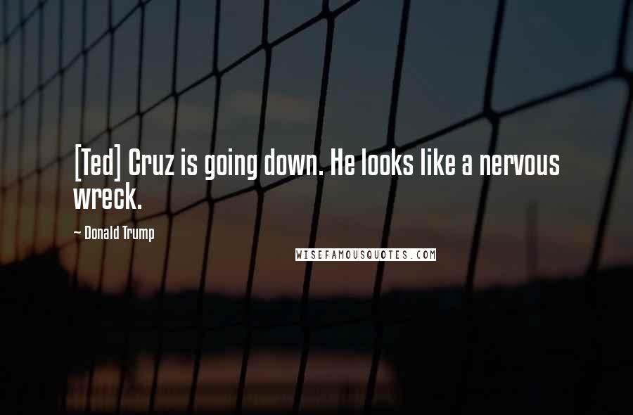 Donald Trump Quotes: [Ted] Cruz is going down. He looks like a nervous wreck.