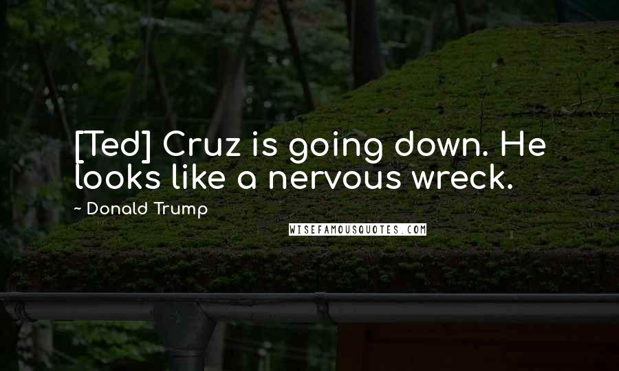 Donald Trump Quotes: [Ted] Cruz is going down. He looks like a nervous wreck.