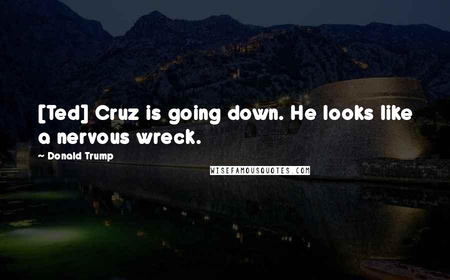 Donald Trump Quotes: [Ted] Cruz is going down. He looks like a nervous wreck.