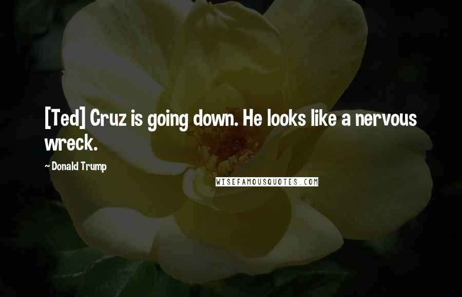 Donald Trump Quotes: [Ted] Cruz is going down. He looks like a nervous wreck.