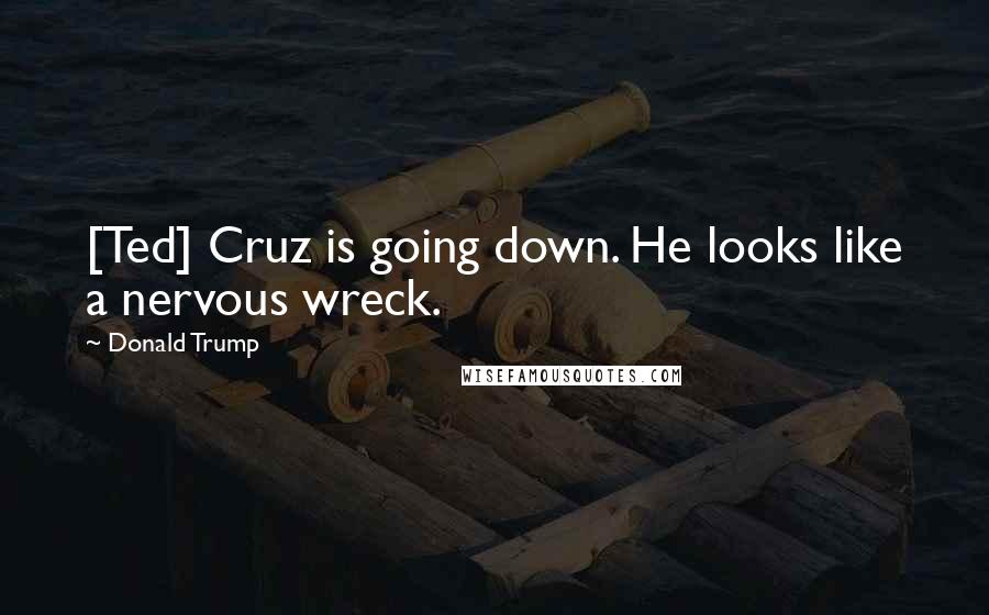 Donald Trump Quotes: [Ted] Cruz is going down. He looks like a nervous wreck.