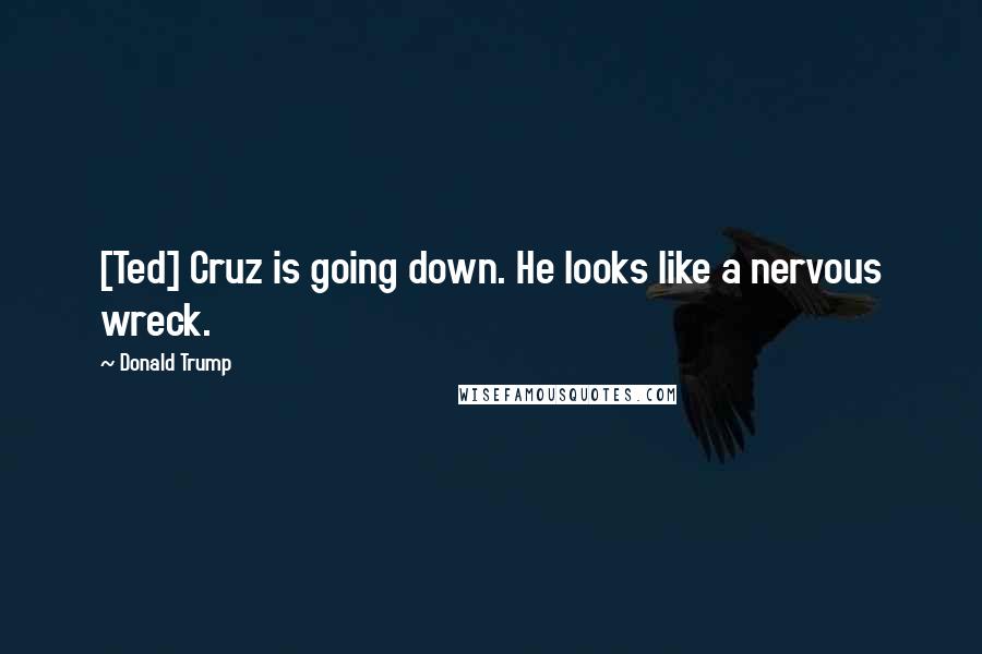 Donald Trump Quotes: [Ted] Cruz is going down. He looks like a nervous wreck.