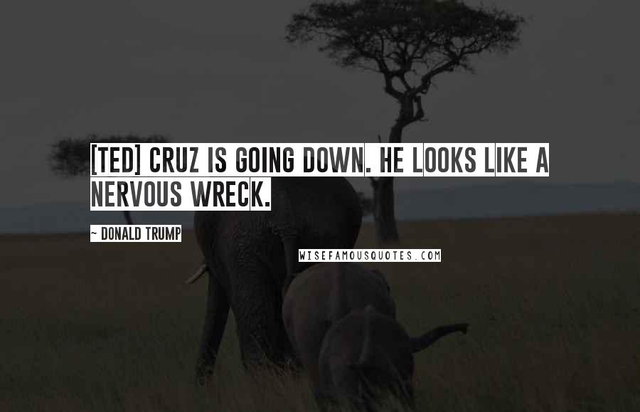 Donald Trump Quotes: [Ted] Cruz is going down. He looks like a nervous wreck.