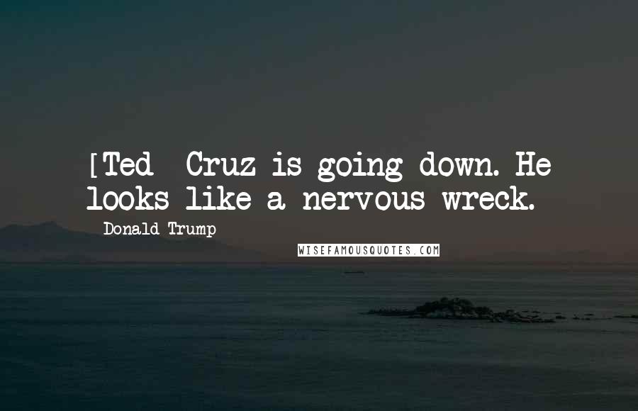 Donald Trump Quotes: [Ted] Cruz is going down. He looks like a nervous wreck.