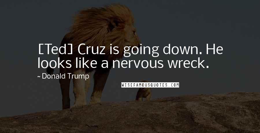 Donald Trump Quotes: [Ted] Cruz is going down. He looks like a nervous wreck.