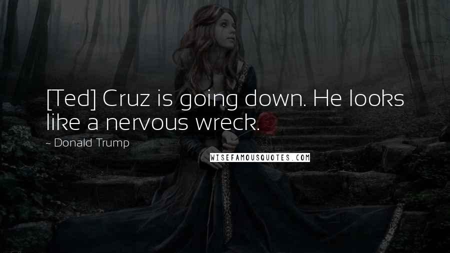 Donald Trump Quotes: [Ted] Cruz is going down. He looks like a nervous wreck.