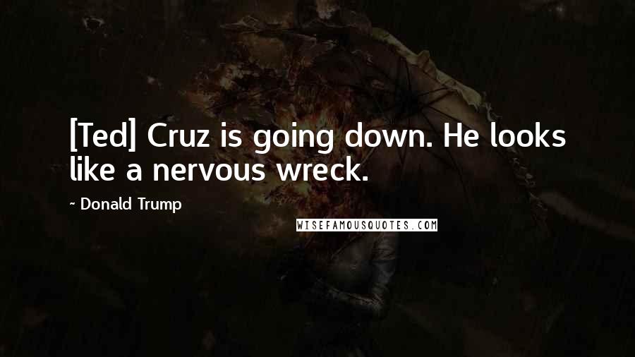 Donald Trump Quotes: [Ted] Cruz is going down. He looks like a nervous wreck.