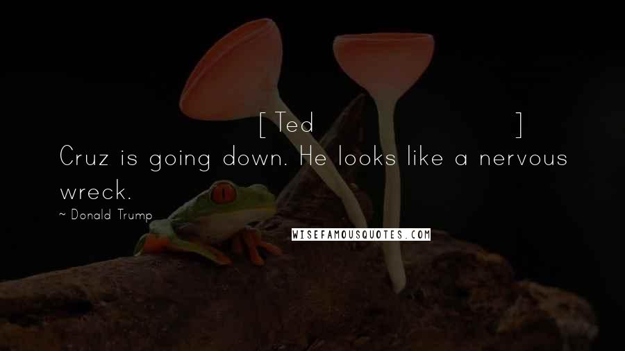 Donald Trump Quotes: [Ted] Cruz is going down. He looks like a nervous wreck.