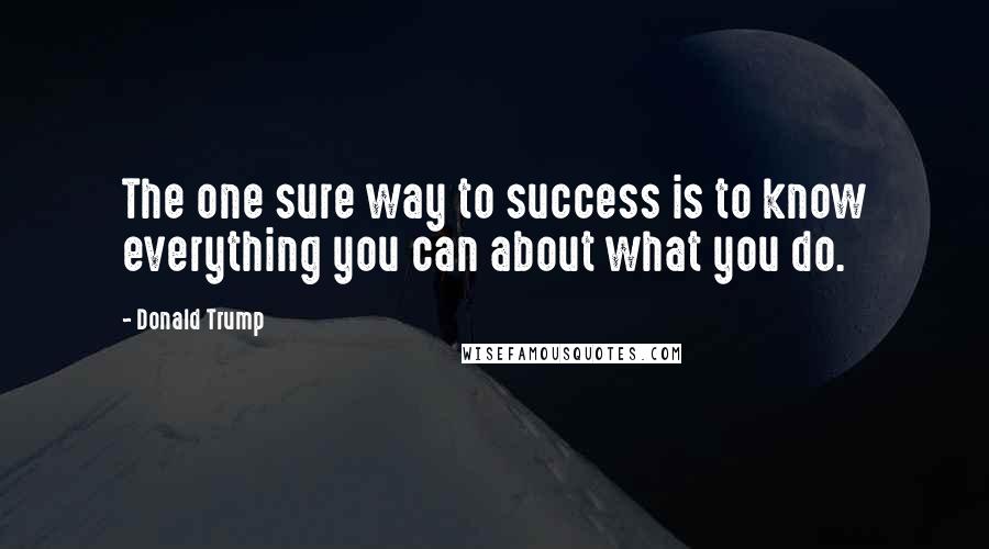 Donald Trump Quotes: The one sure way to success is to know everything you can about what you do.