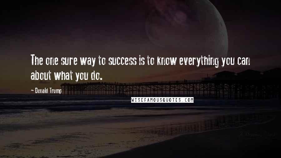 Donald Trump Quotes: The one sure way to success is to know everything you can about what you do.