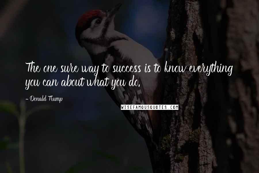 Donald Trump Quotes: The one sure way to success is to know everything you can about what you do.