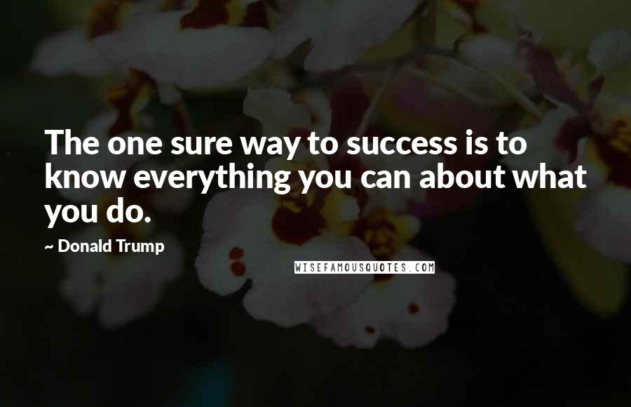 Donald Trump Quotes: The one sure way to success is to know everything you can about what you do.