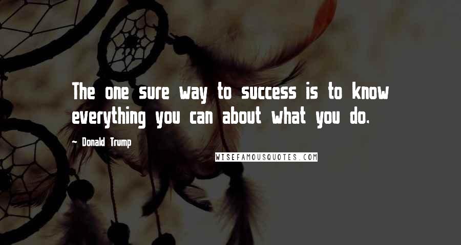 Donald Trump Quotes: The one sure way to success is to know everything you can about what you do.