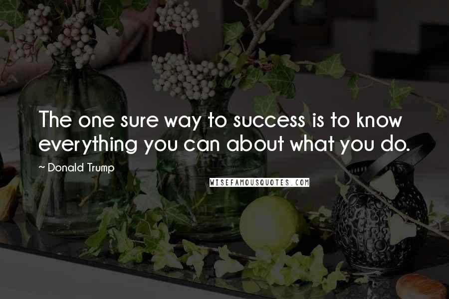 Donald Trump Quotes: The one sure way to success is to know everything you can about what you do.
