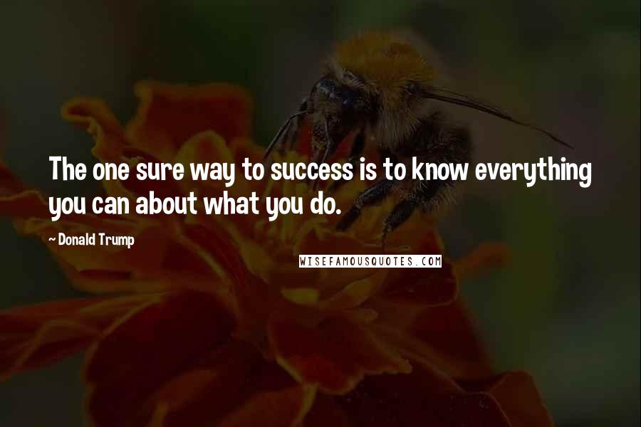 Donald Trump Quotes: The one sure way to success is to know everything you can about what you do.