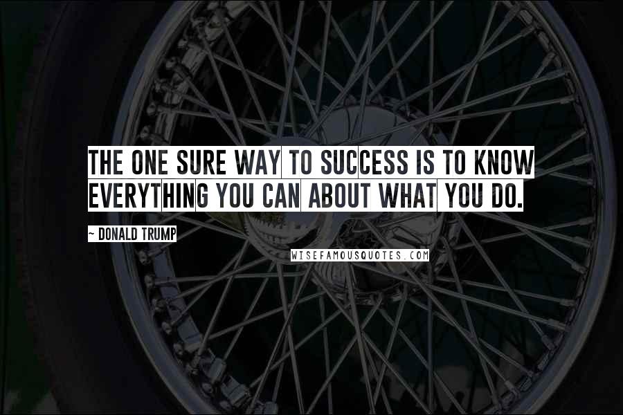 Donald Trump Quotes: The one sure way to success is to know everything you can about what you do.