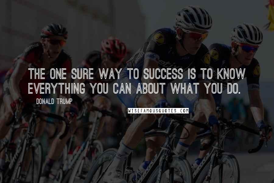 Donald Trump Quotes: The one sure way to success is to know everything you can about what you do.