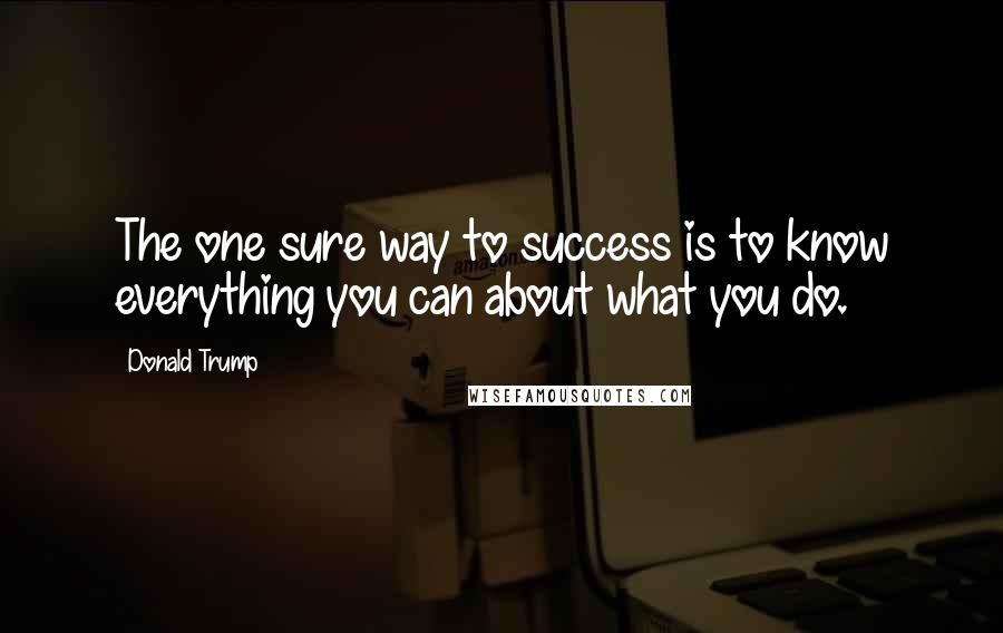 Donald Trump Quotes: The one sure way to success is to know everything you can about what you do.