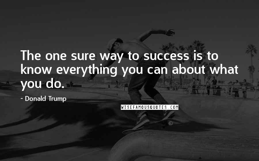 Donald Trump Quotes: The one sure way to success is to know everything you can about what you do.