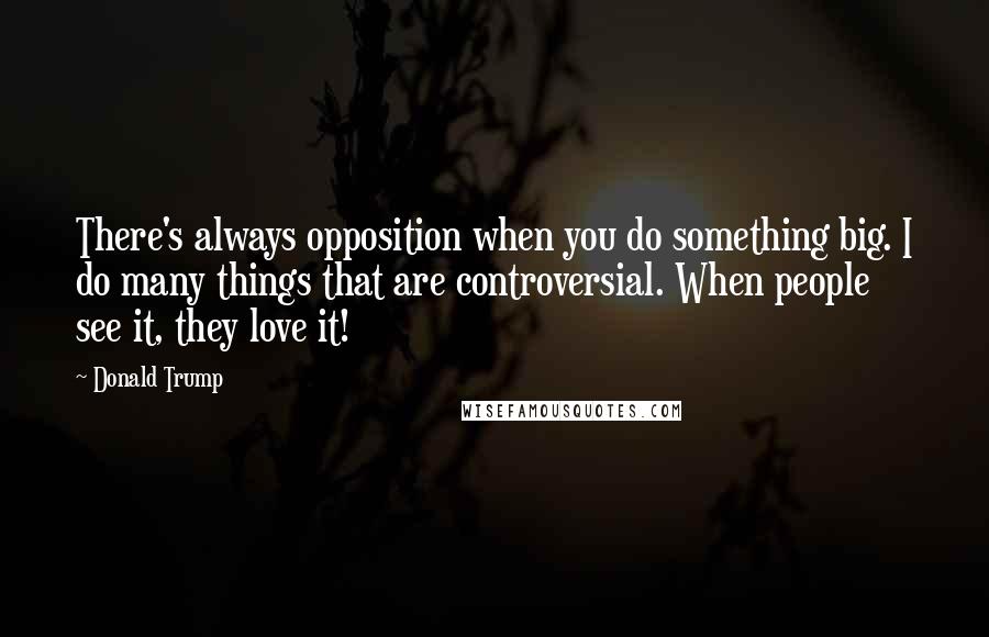 Donald Trump Quotes: There's always opposition when you do something big. I do many things that are controversial. When people see it, they love it!