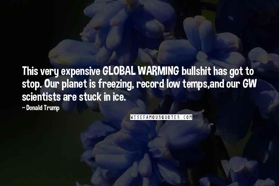 Donald Trump Quotes: This very expensive GLOBAL WARMING bullshit has got to stop. Our planet is freezing, record low temps,and our GW scientists are stuck in ice.