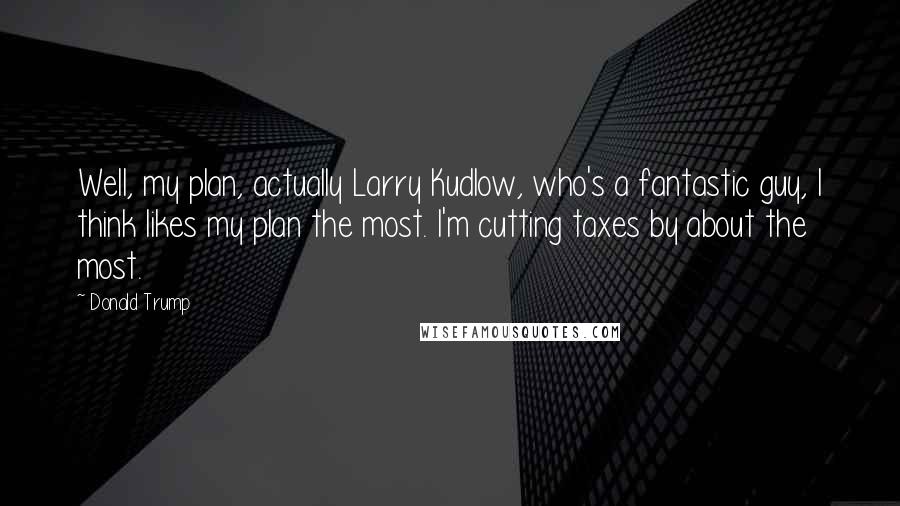 Donald Trump Quotes: Well, my plan, actually Larry Kudlow, who's a fantastic guy, I think likes my plan the most. I'm cutting taxes by about the most.