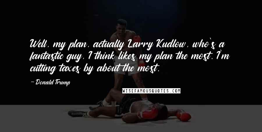 Donald Trump Quotes: Well, my plan, actually Larry Kudlow, who's a fantastic guy, I think likes my plan the most. I'm cutting taxes by about the most.