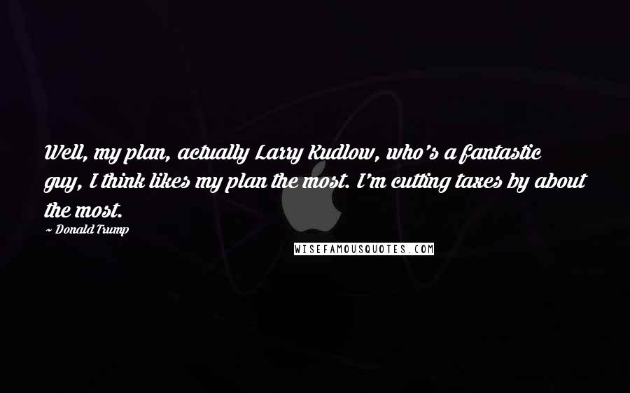 Donald Trump Quotes: Well, my plan, actually Larry Kudlow, who's a fantastic guy, I think likes my plan the most. I'm cutting taxes by about the most.