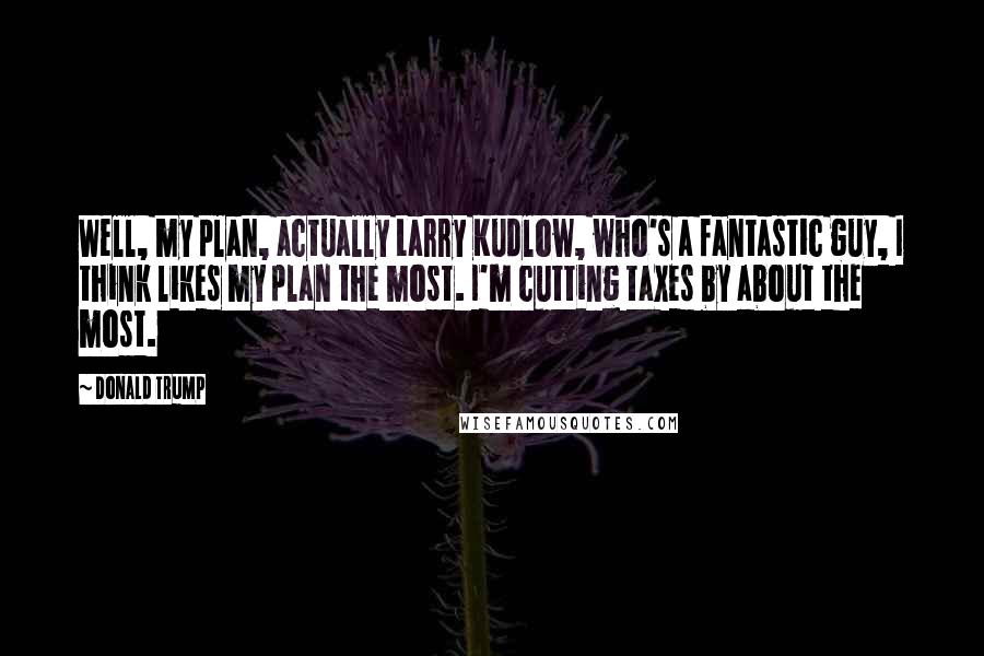 Donald Trump Quotes: Well, my plan, actually Larry Kudlow, who's a fantastic guy, I think likes my plan the most. I'm cutting taxes by about the most.