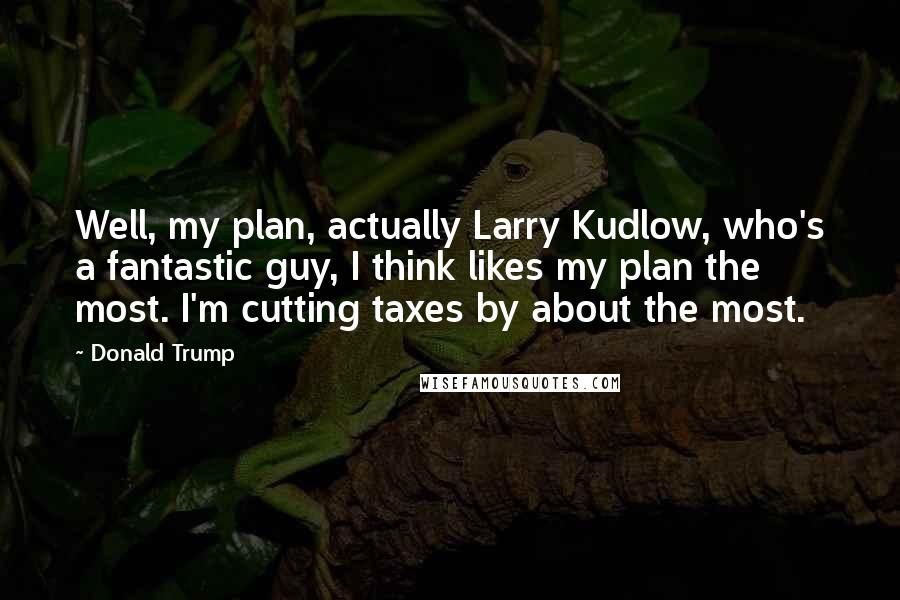 Donald Trump Quotes: Well, my plan, actually Larry Kudlow, who's a fantastic guy, I think likes my plan the most. I'm cutting taxes by about the most.