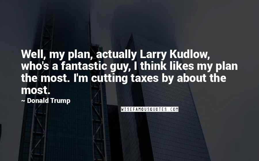 Donald Trump Quotes: Well, my plan, actually Larry Kudlow, who's a fantastic guy, I think likes my plan the most. I'm cutting taxes by about the most.