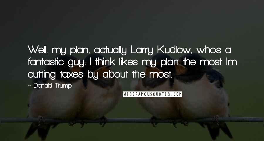 Donald Trump Quotes: Well, my plan, actually Larry Kudlow, who's a fantastic guy, I think likes my plan the most. I'm cutting taxes by about the most.